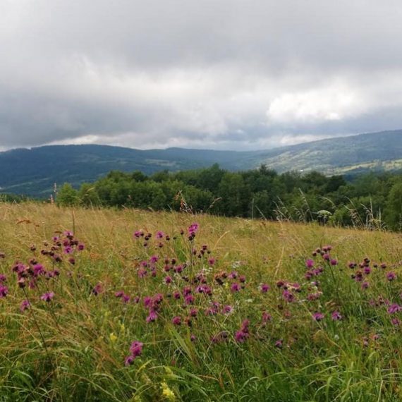Орів, Комарницькі гори
